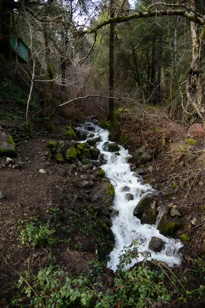 DSC_0914 (Large).JPG